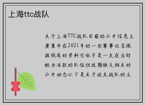 上海ttc战队
